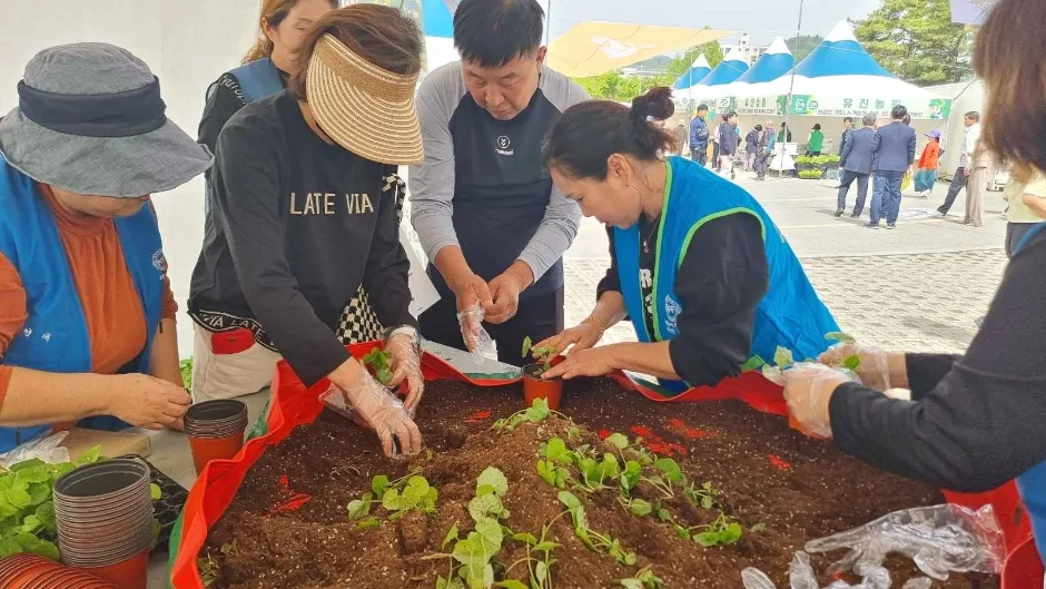 2024 강원n 홍천 산나물축제 7