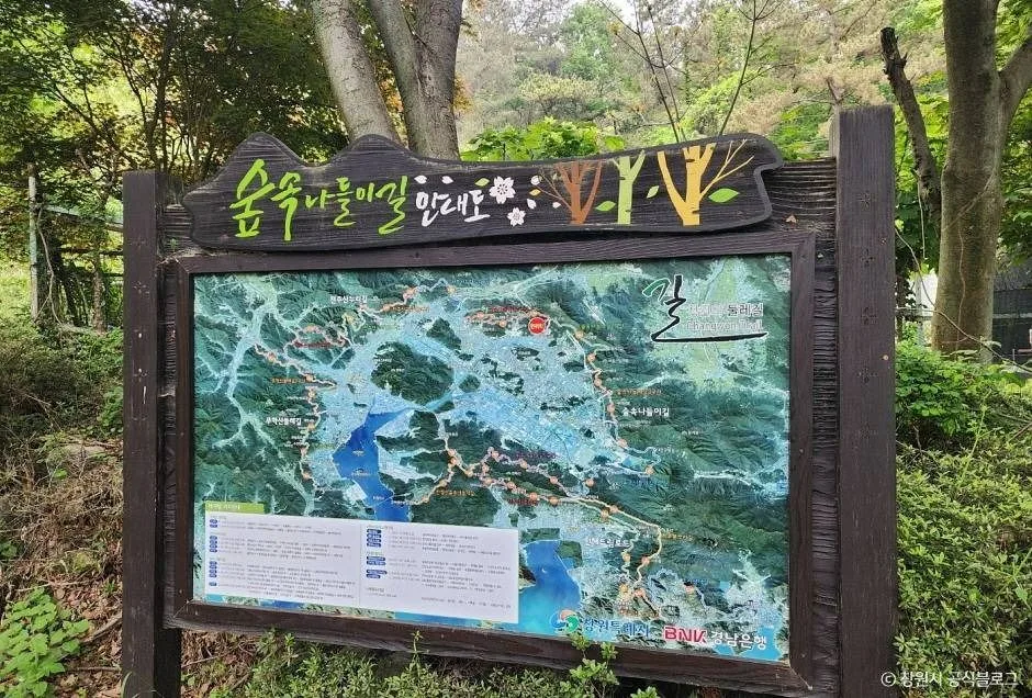 창원_정병산 (4)