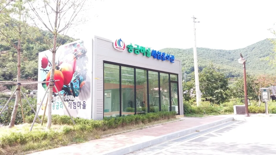 관광두레 주민사업체 송금체험마을영농조합법인(8)