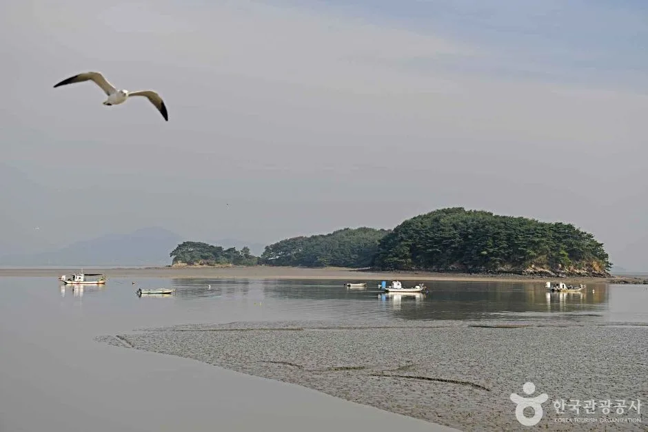 중구_예단포선착장 (4)