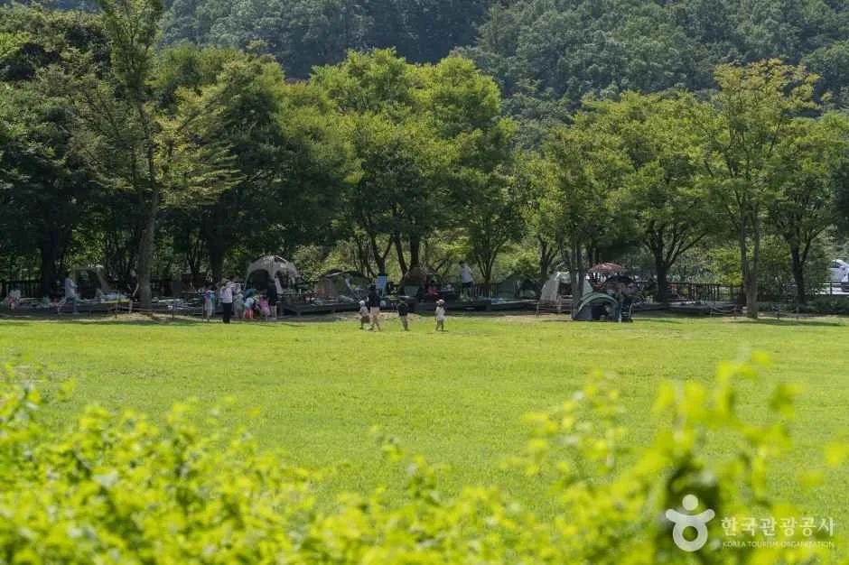 용인자연휴양림