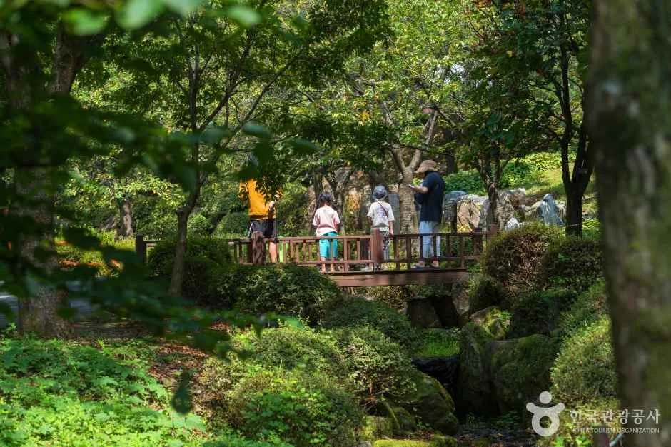 용인자연휴양림