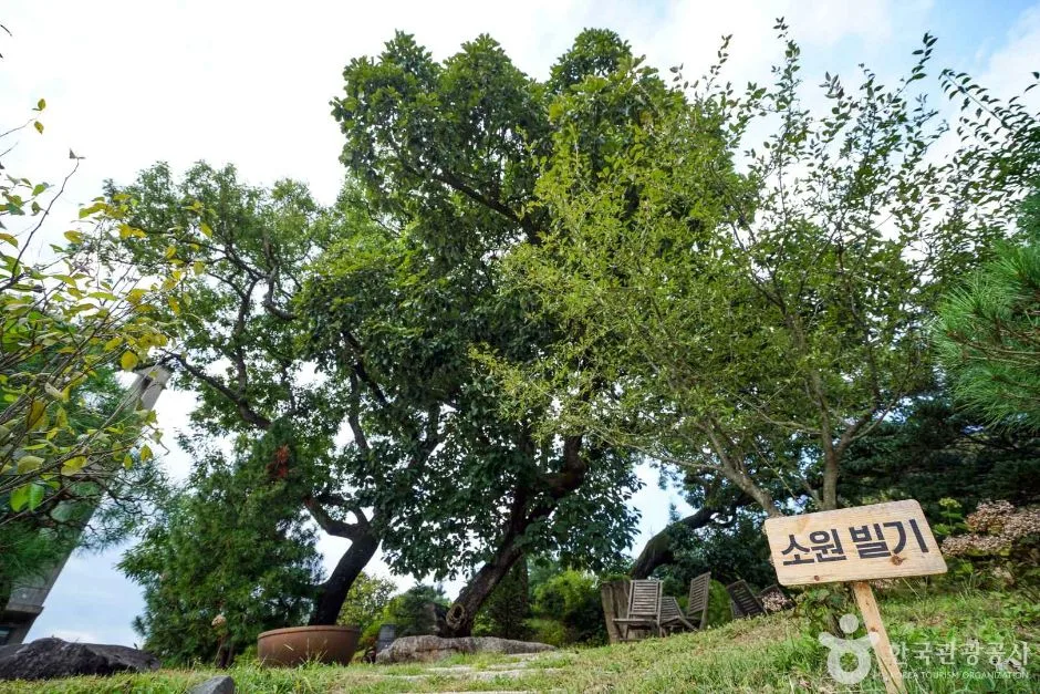 경기_파주_소울원 (7)