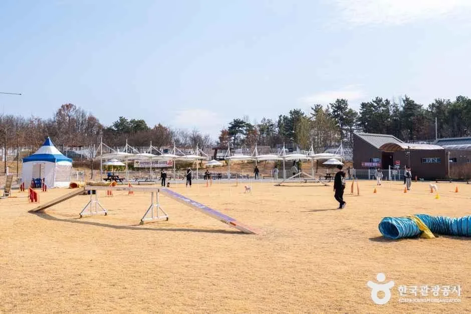 의성_의성 펫월드 (5)