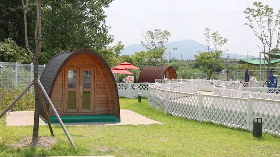 경북_의성_의성펫월드_외부_2.jpg