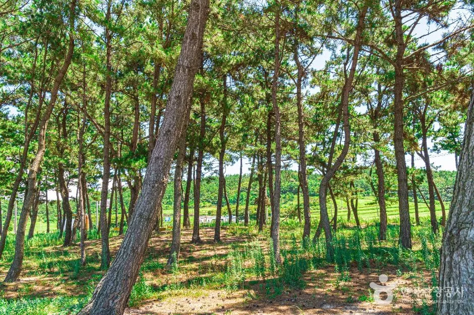 무안_송계 어촌체험마을 (2)