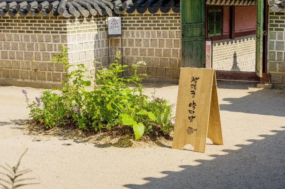 창덕궁 약다방