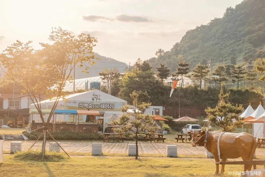 제천_옥순봉생태공원 (8).jpg