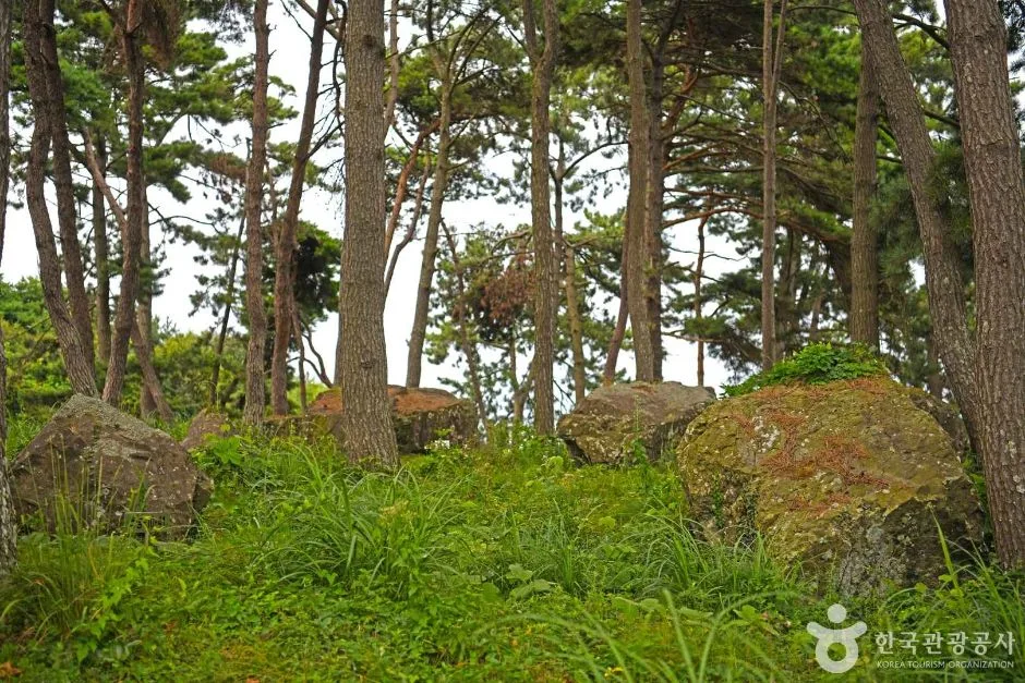 영광_영광 성산리지석묘군 (3)
