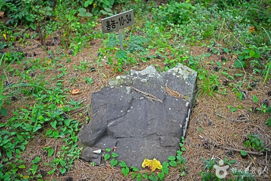 영광_영광 성산리지석묘군 (6)