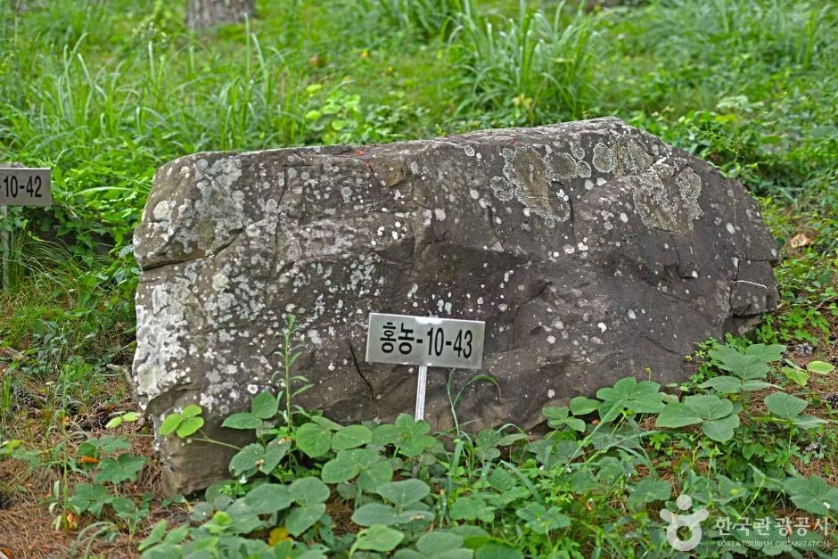 영광_영광 성산리지석묘군 (5)