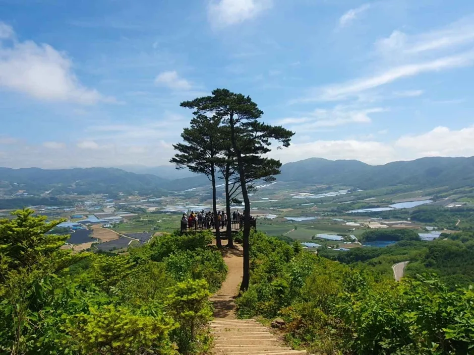 DMZ펀치볼둘레길 (6)