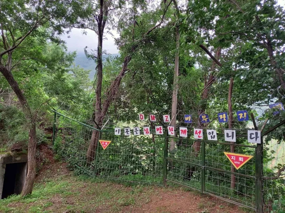DMZ펀치볼둘레길 (7)