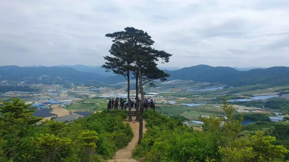 DMZ펀치볼둘레길 (5)
