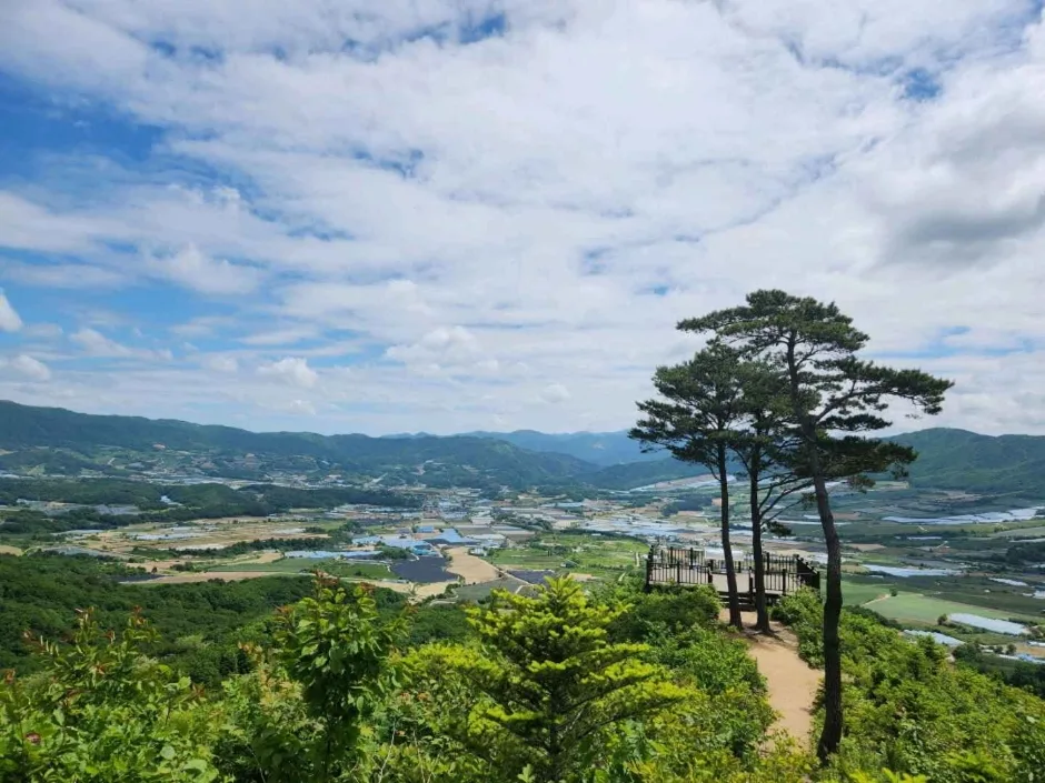 DMZ펀치볼둘레길 (4)
