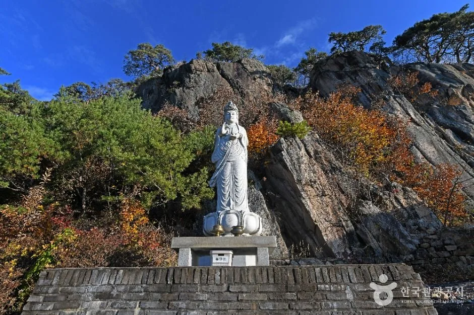 정방사 (6)
