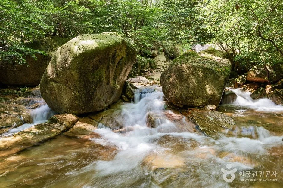 강진_금릉경포대 (5)