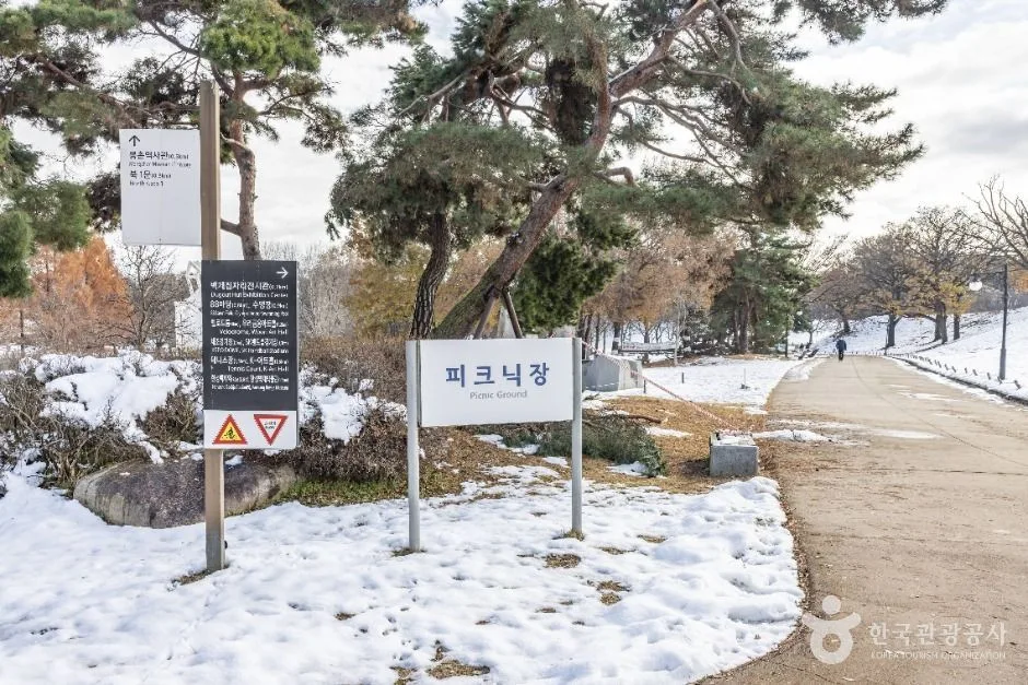서울송파_올림픽공원피크닉장 (8)