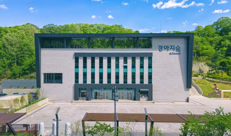 강아지숲