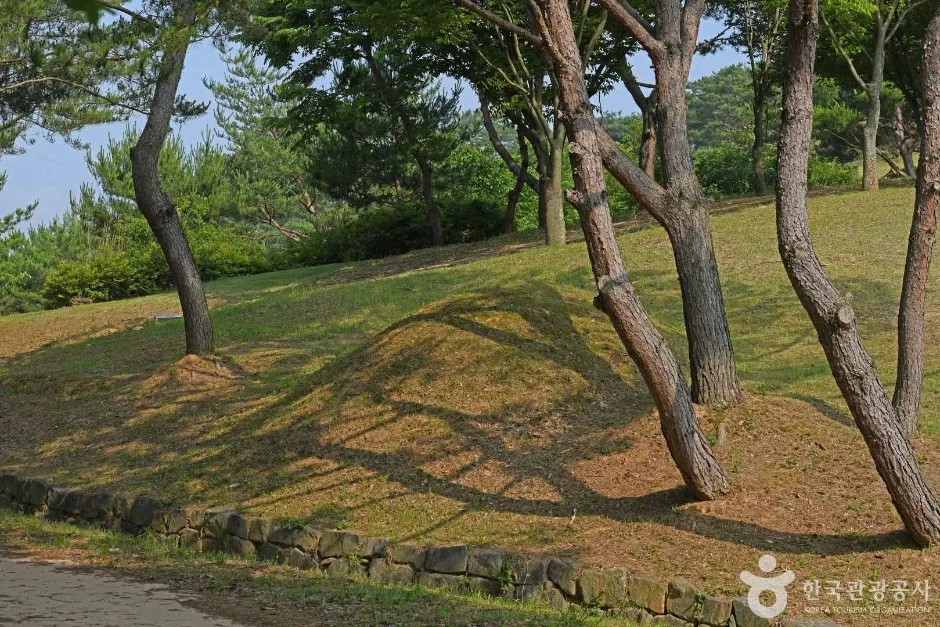 부여 능안골 고분군 (3)