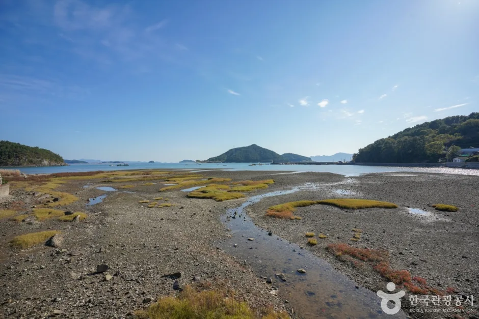 경남_고성_고성 자란만 (5)