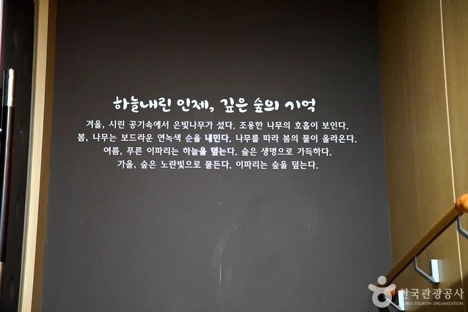 인재하늘내린센터 (2)