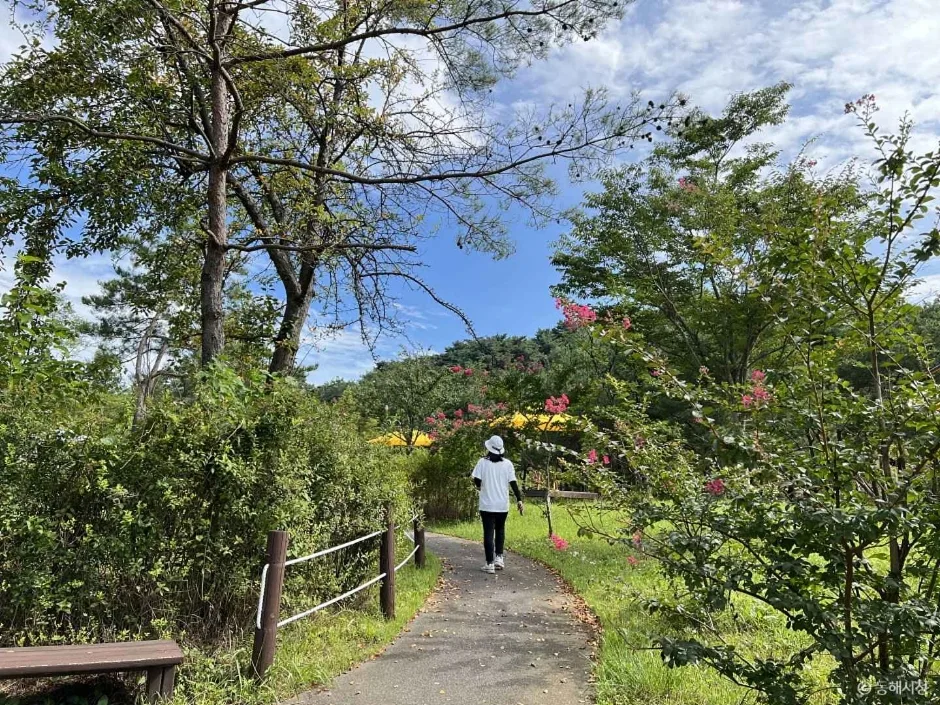 가원습지 생태자연공원 (12)