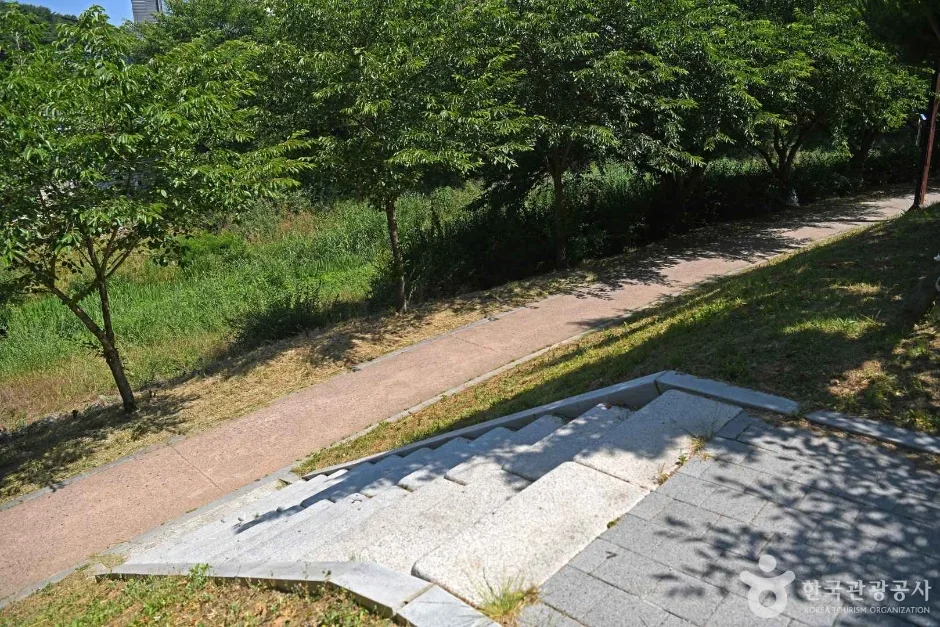 당진_당진천 벚꽃길 (6)