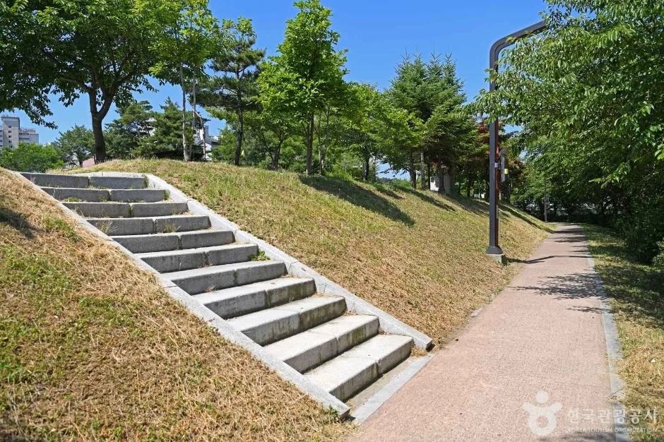 당진_당진천 벚꽃길 (4)