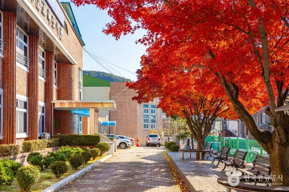 화천_화천교육도서관 (8)