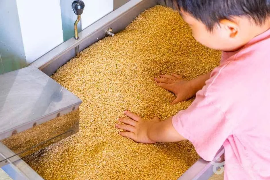 인천_강화_랑이네 이음 정미소_체험_3.jpg
