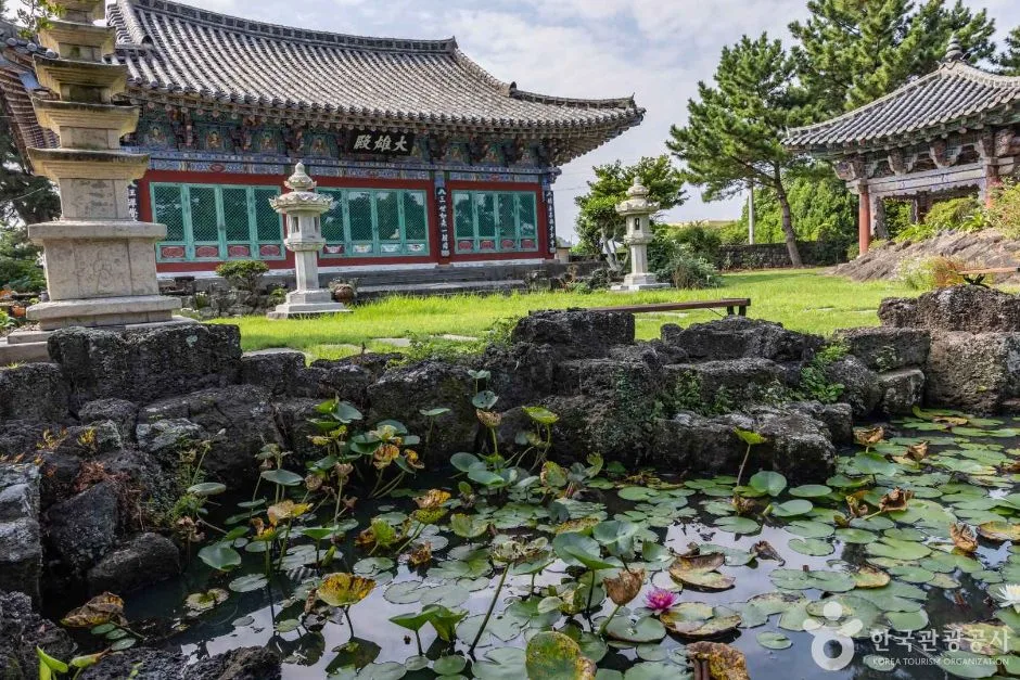 제주_제주시_금룡사(제주) (8)