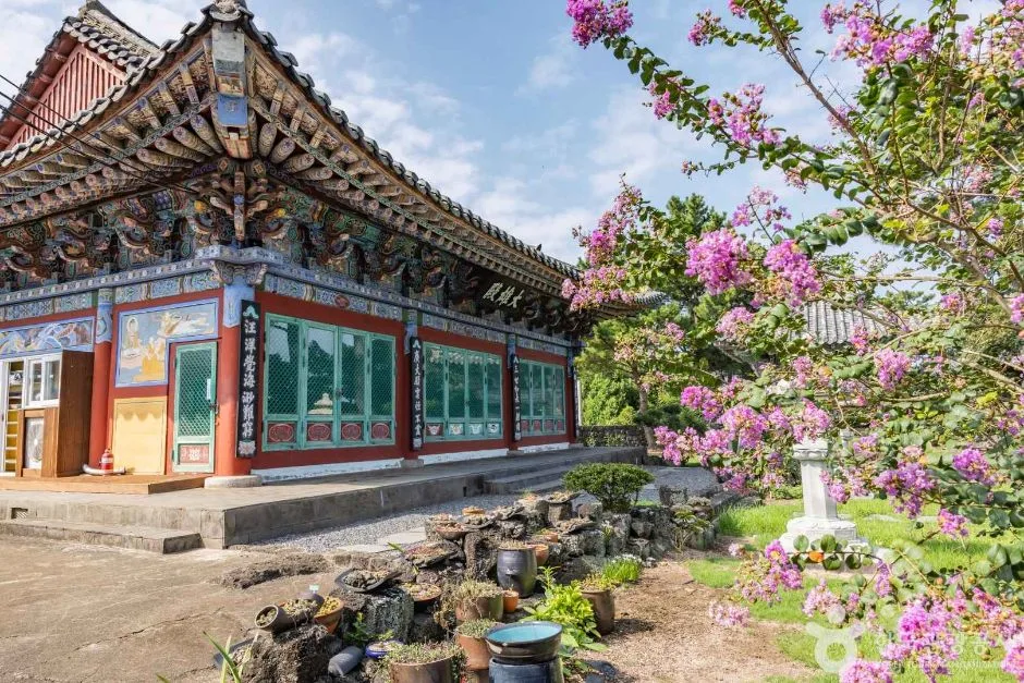 제주_제주시_금룡사(제주) (6)