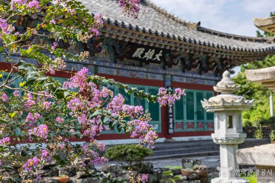 제주_제주시_금룡사(제주) (3)