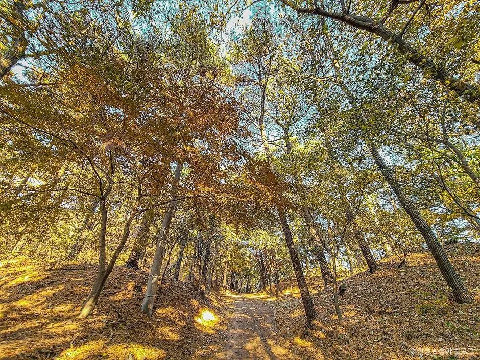 안성_비봉산 (5)