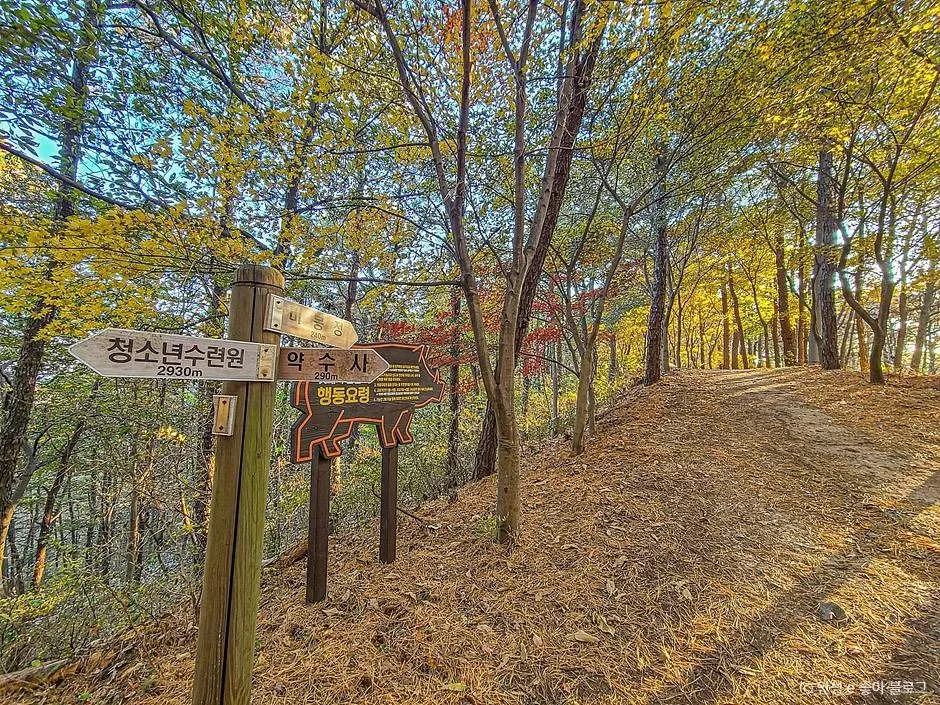 안성_비봉산 (8)