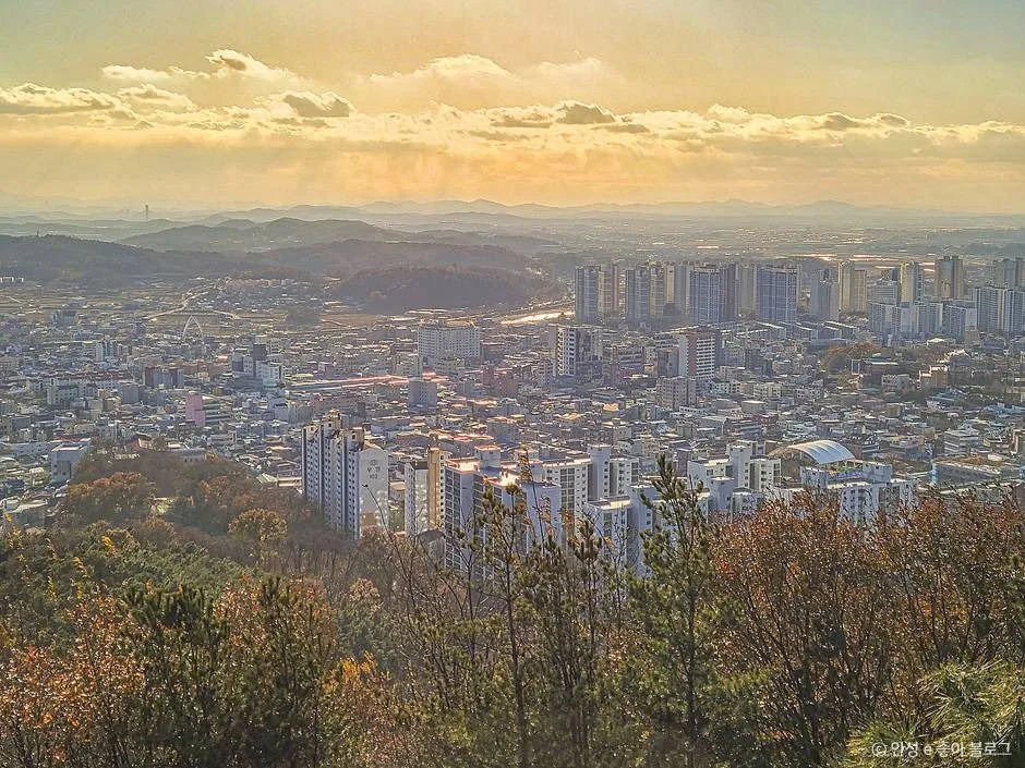 안성_비봉산 (7)