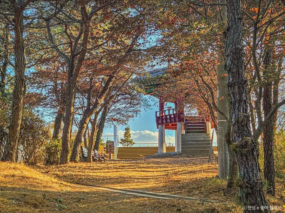 안성_비봉산 (10)
