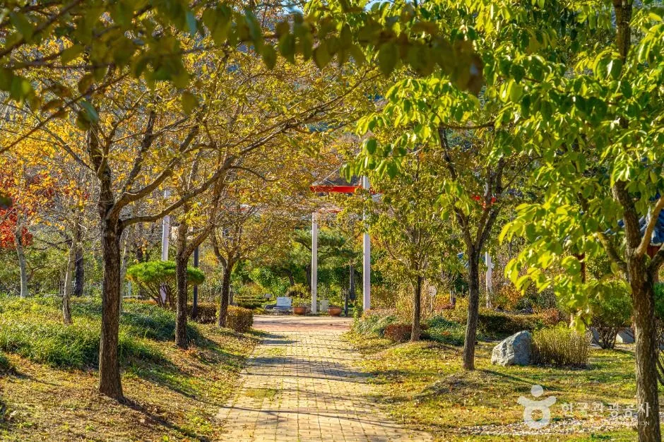 영동군_노근리평화공원 (5)