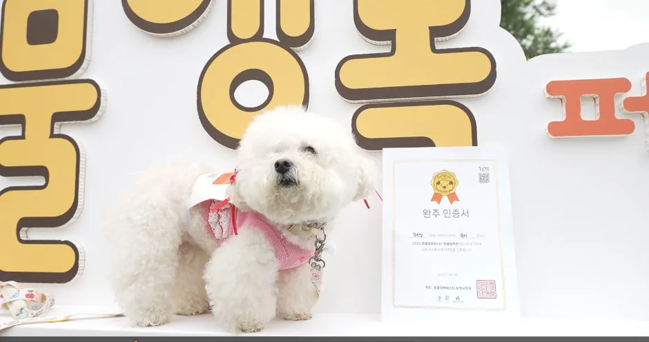 2026 동물행복페스타 (1).png