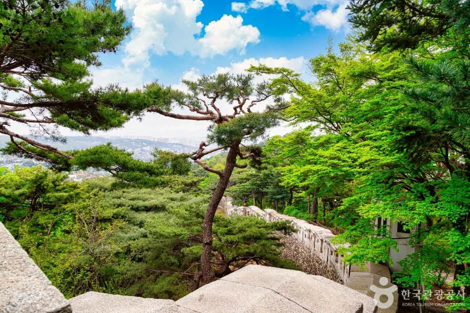 서울_성북구_북악산 숙정문 (7)