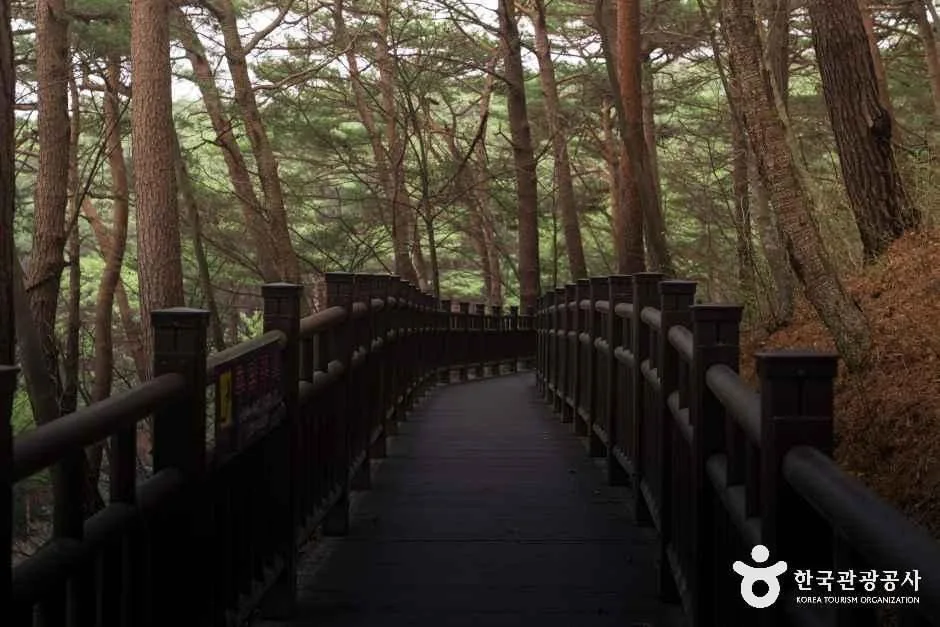 충남_태안_안면도자연휴양림_외부_4.jpg
