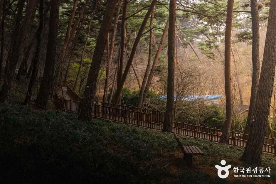 충남_태안_안면도자연휴양림_외부_3.jpg