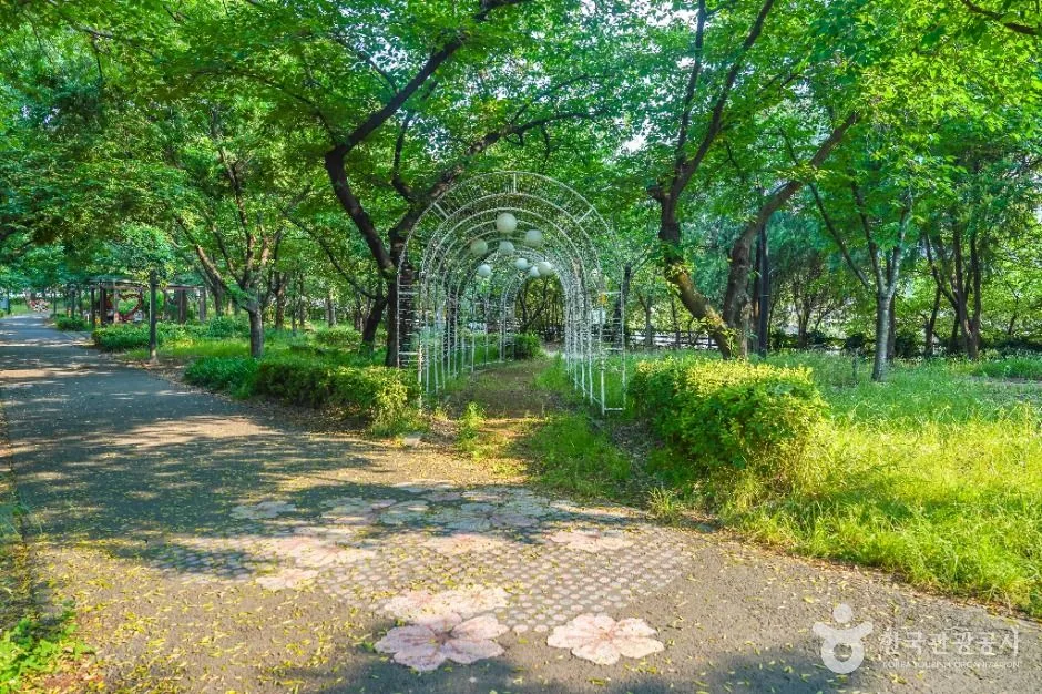 대구_꽃보라동산 (2)