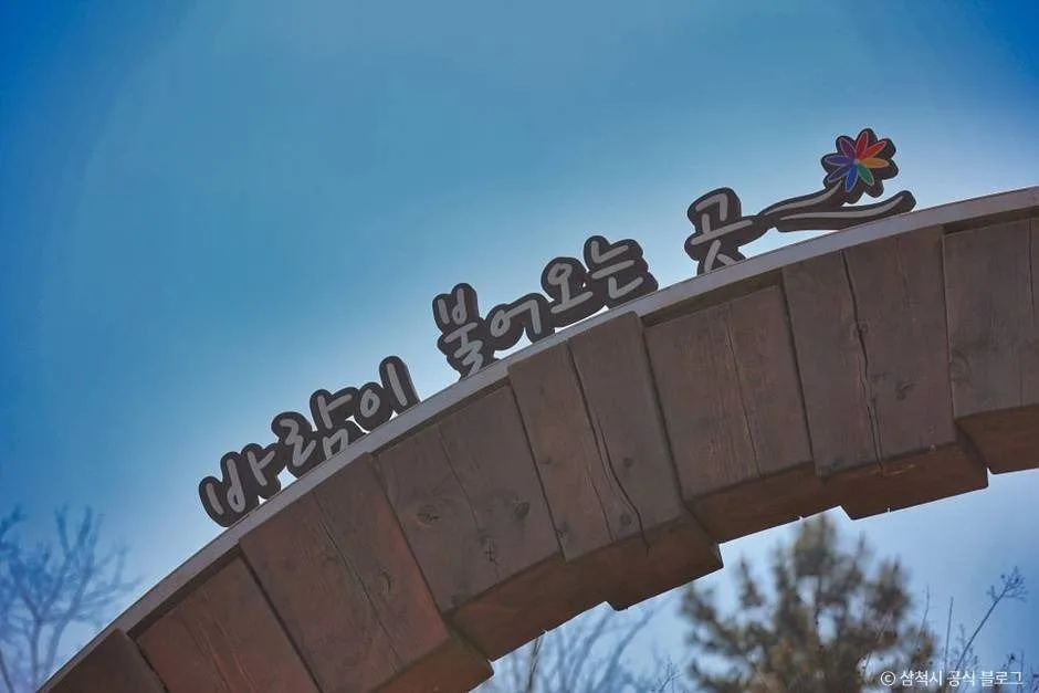 삼척_봉황산산림욕장 (13)