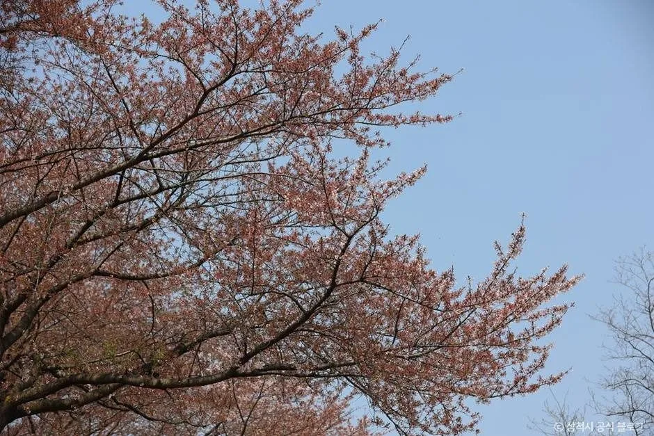 삼척_봉황산산림욕장 (14)