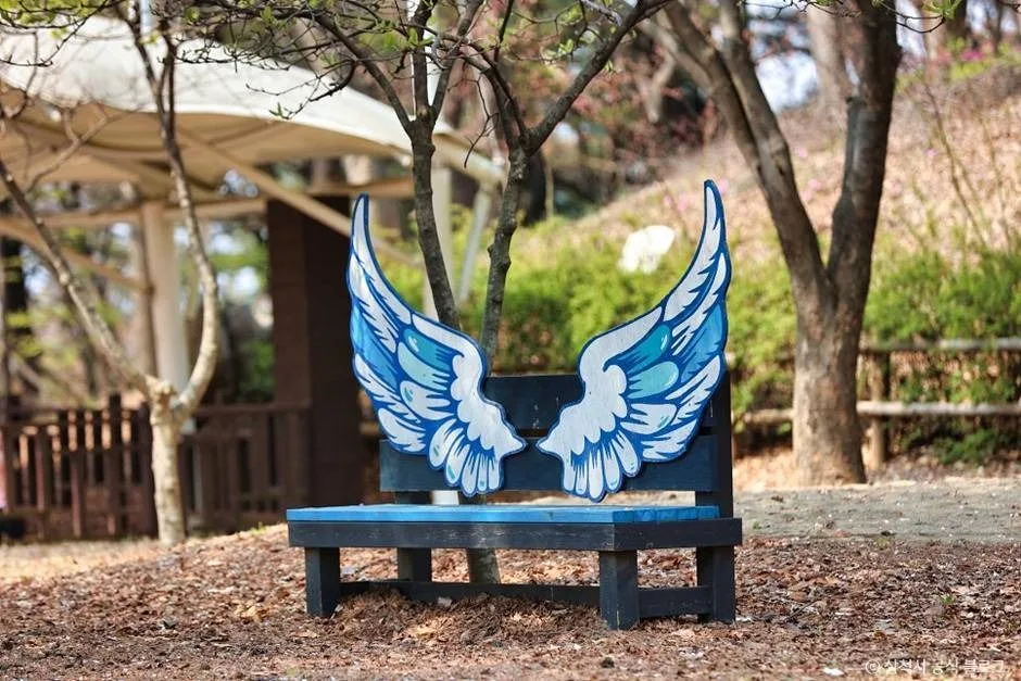 삼척_봉황산산림욕장 (9)