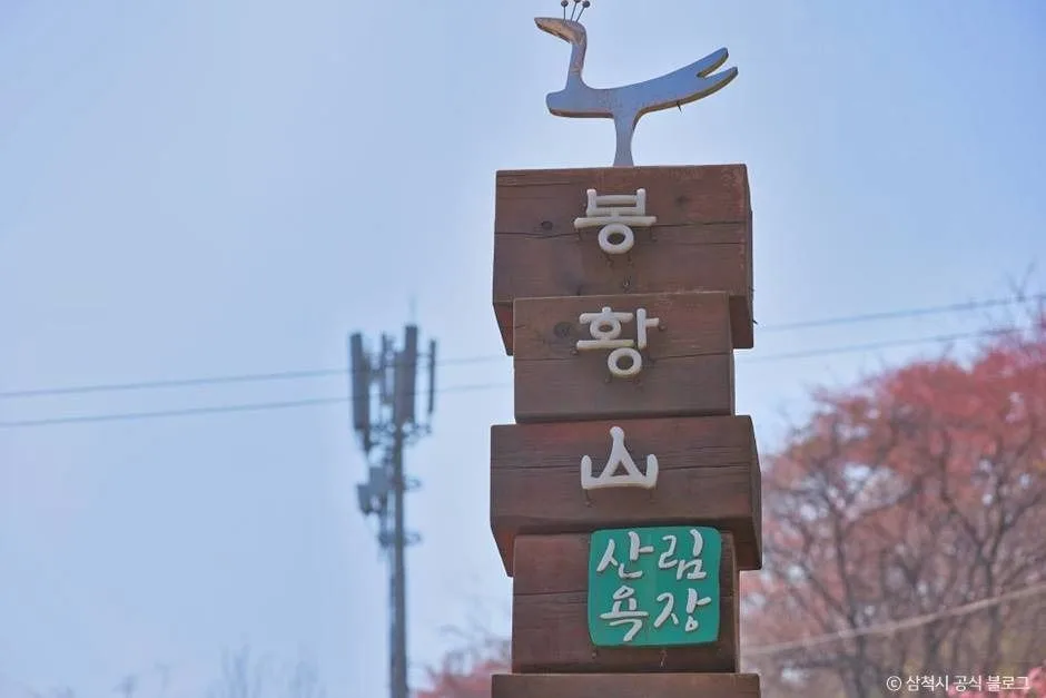 삼척_봉황산산림욕장 (12)