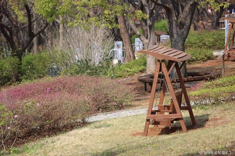 삼척_봉황산산림욕장 (4)