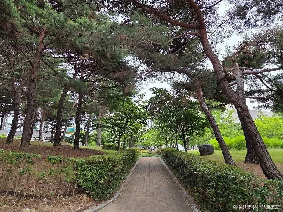 울산_문화공원(울산) (3).jpg